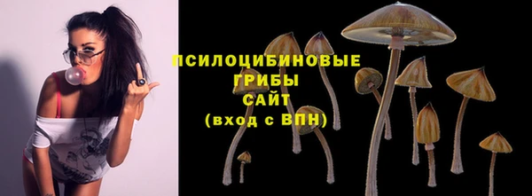 меф VHQ Дмитриев