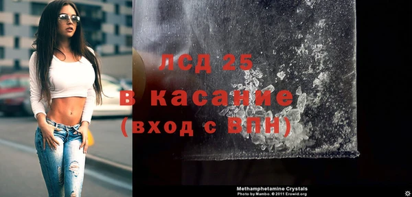 индика Гусиноозёрск