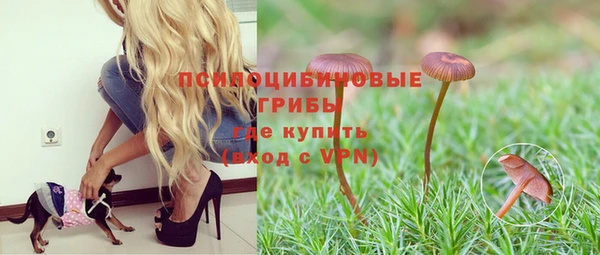 меф VHQ Дмитриев