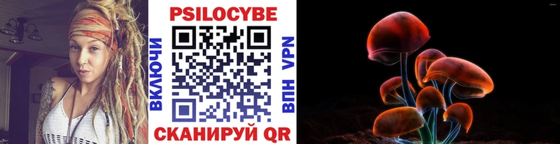 Псилоцибиновые грибы Psilocybe  Ессентукская 